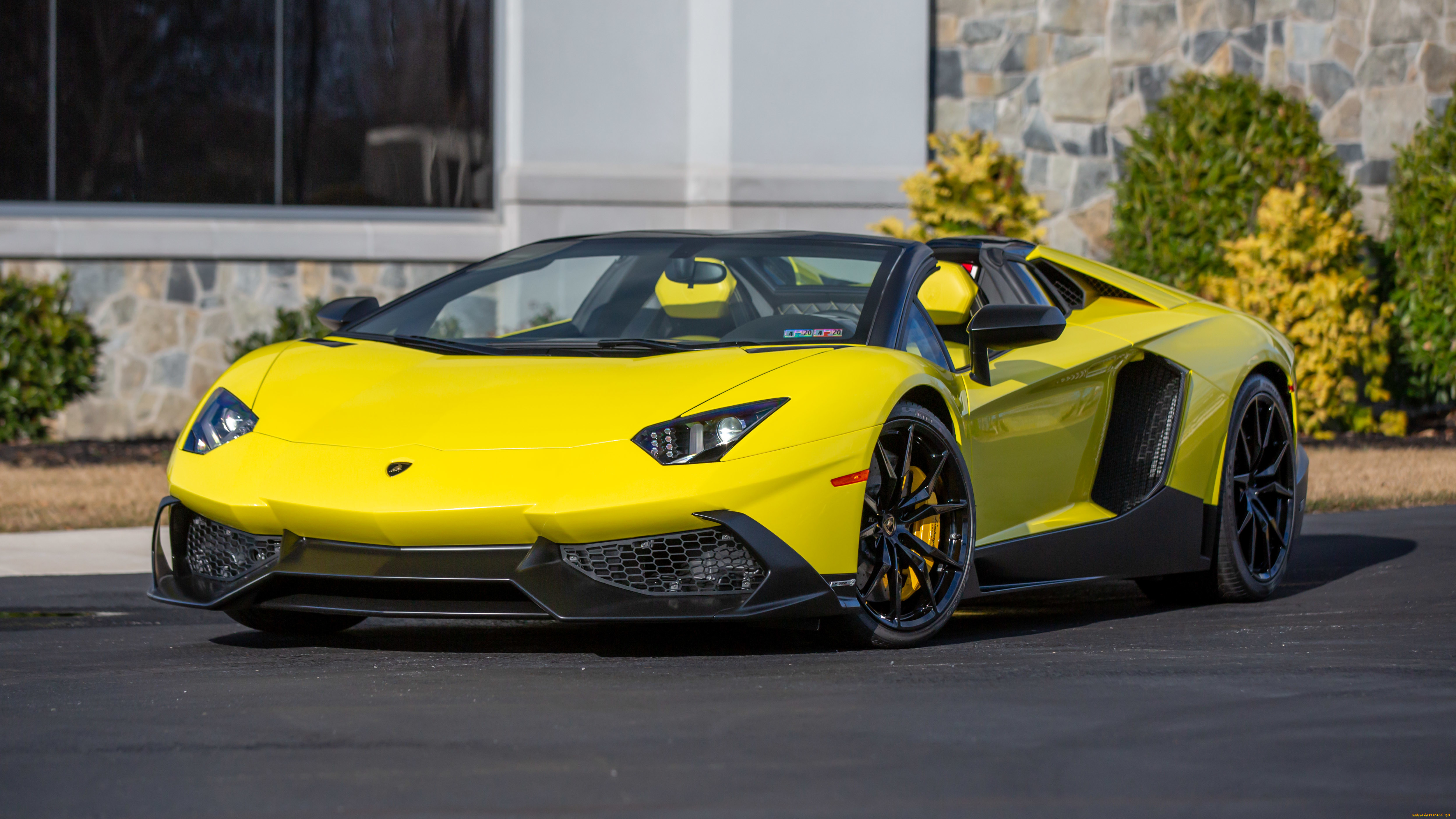 , lamborghini
